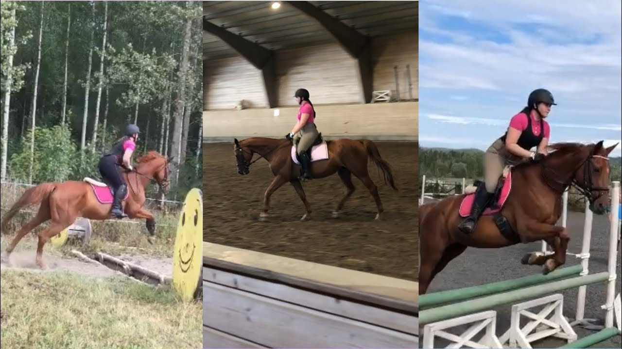 Feltrittskonkurranse Blixland Rideleir uke 31 2018
