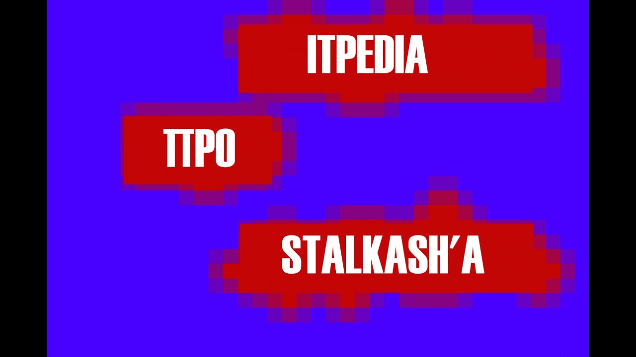 Itpedia про Stalkash'a