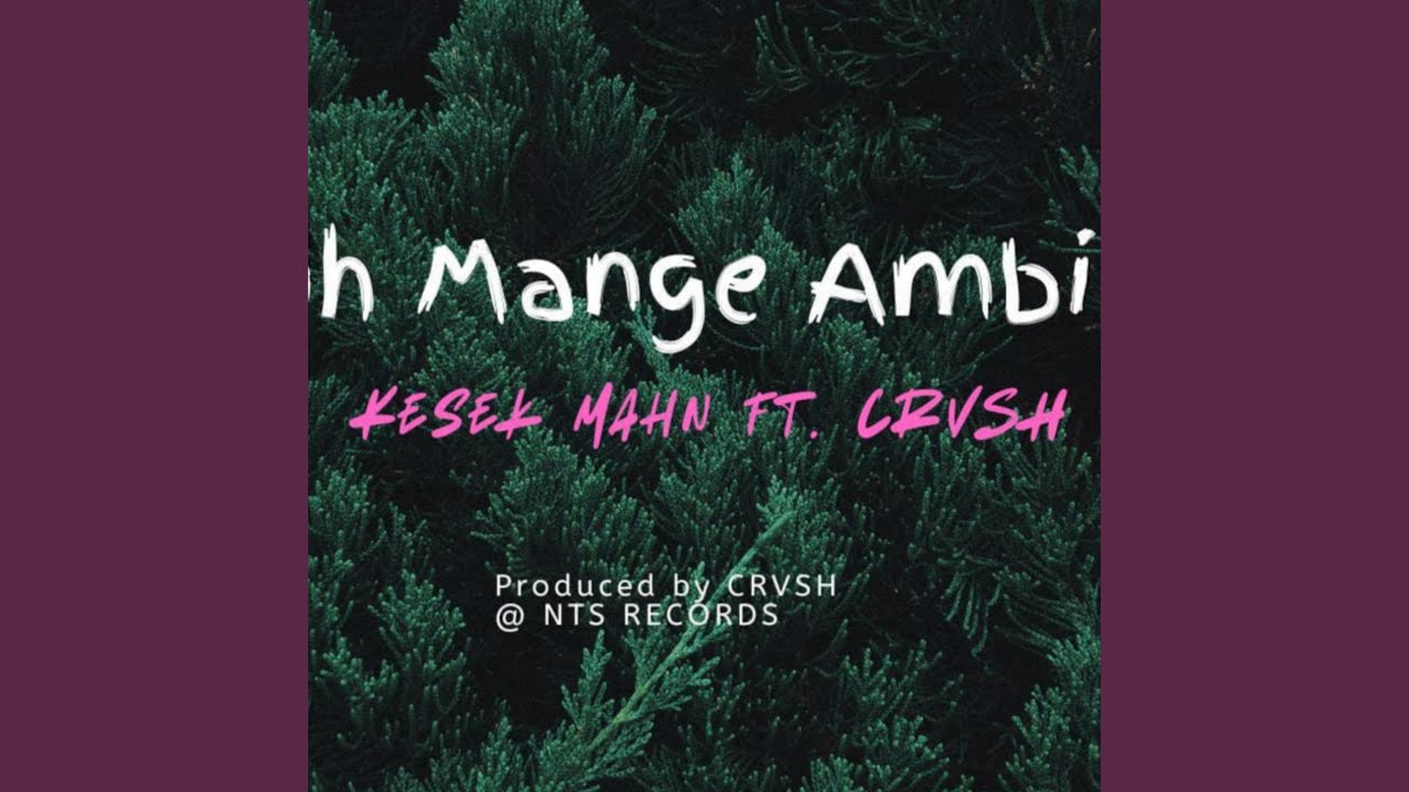 Oh Mange Ambien -Kesel Marn (feat. CRVSH)