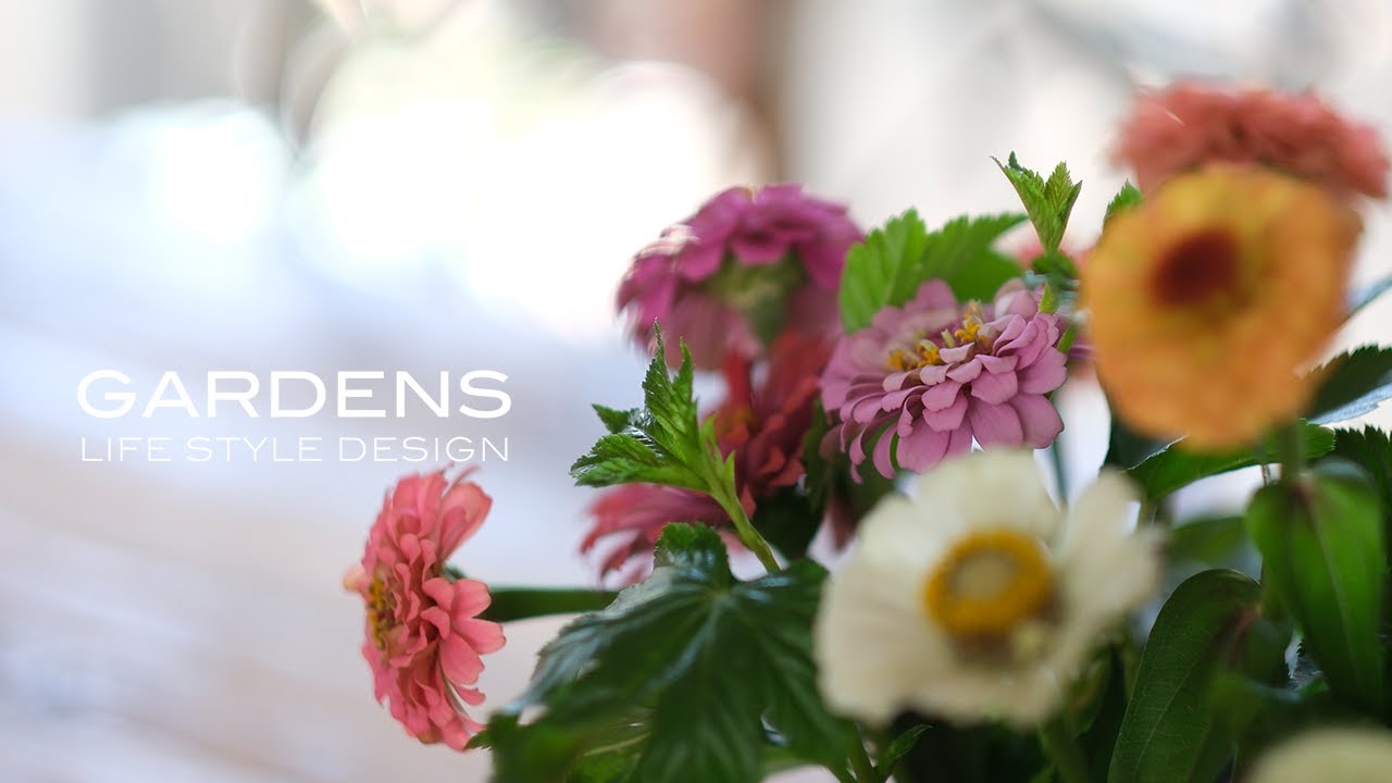 GARDENS 花と暮らす花瓶のアレンジ３選 | 私のお気に入りの花器 | Living with flowers. 3 ways to decorate a vase.【ガーデンズ】