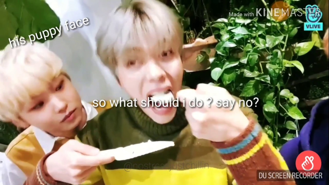 WHY YOU SHOULD LOVE NEWKIDD ❤