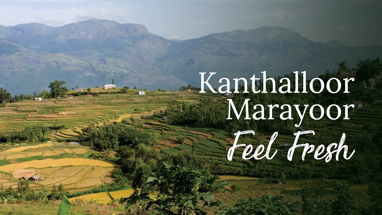 Kanthalloor-Marayoor | 