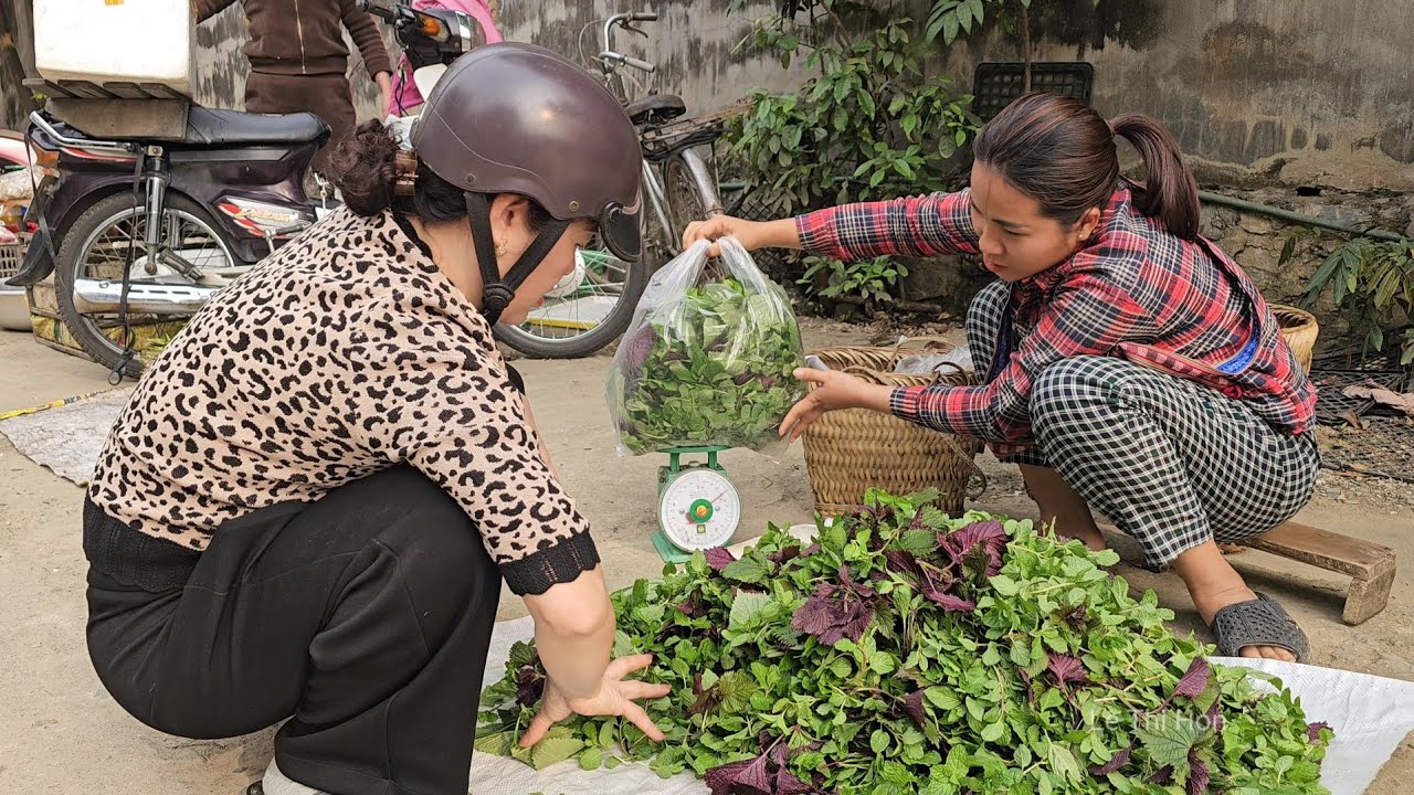 Growing Natural Foods for Sale and Daily Use - Le Thi Hon