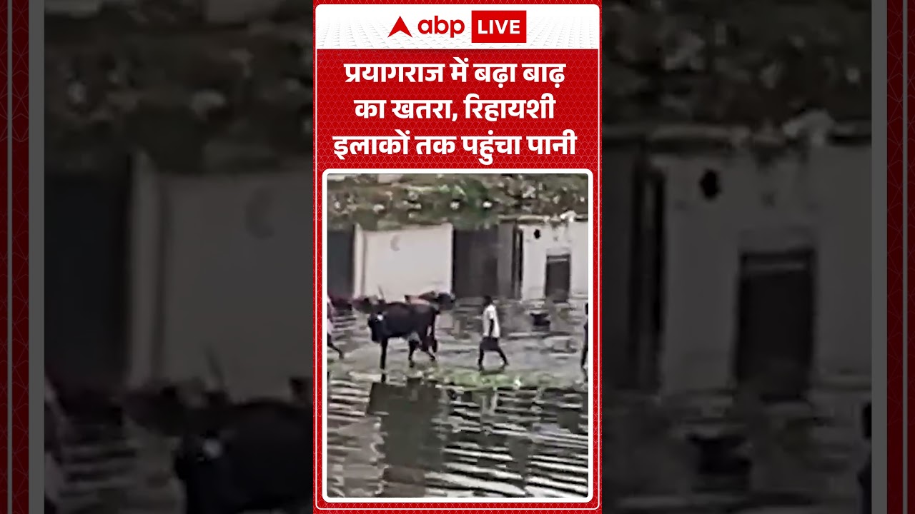 WEATHER ALERT: प्रयागराज में बढ़ा बाढ़ का खतरा, रिहायशी इलाकों तक पहुंचा पानी |ABPLIVE