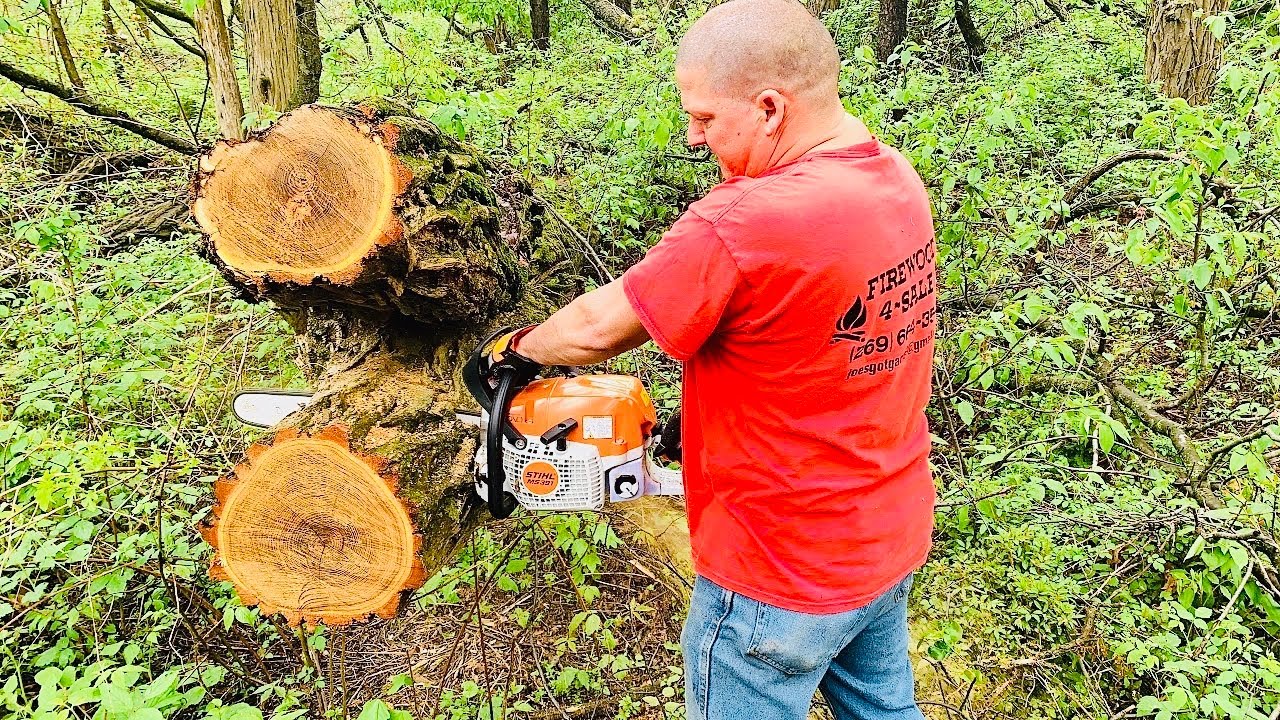 How to properly break in brand new Stihl MS391 chainsaw on black locust