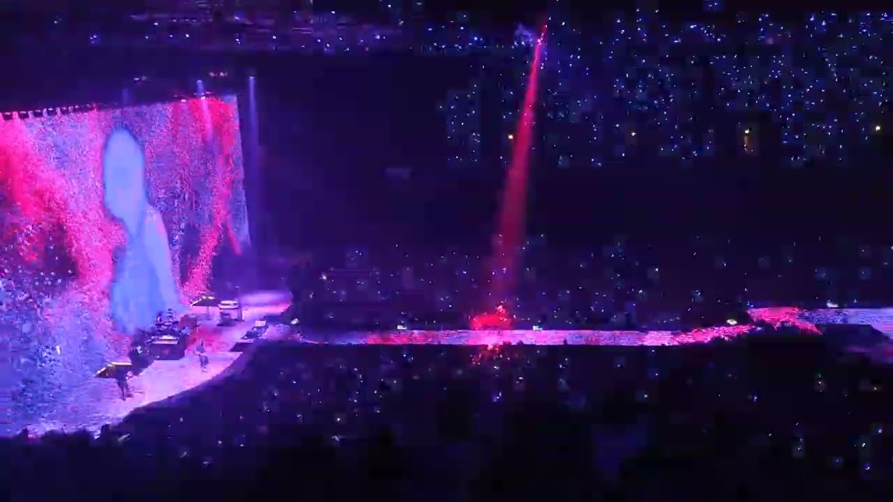 Des fleurs pour Salinger - Indochine @Arena Sud de France, Montpellier