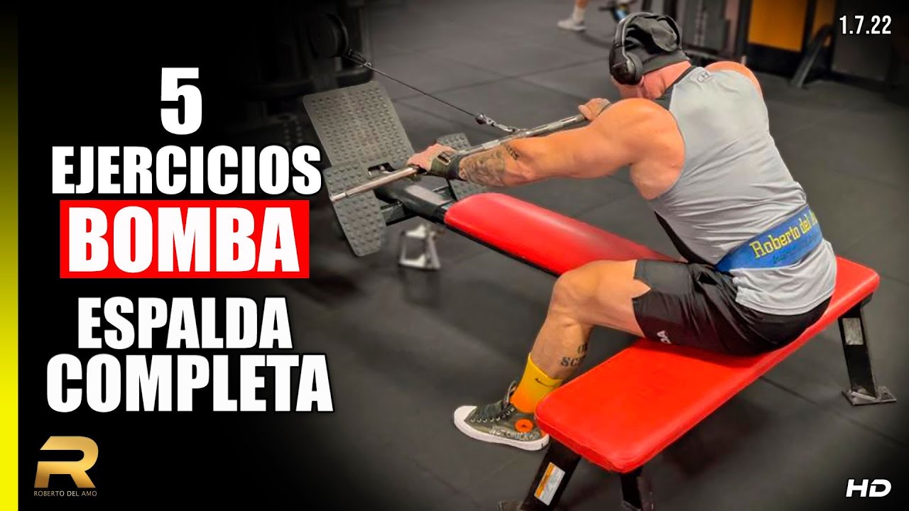 5 EJERCICIOS BOMBA 💣  ESPALDA COMPLETA