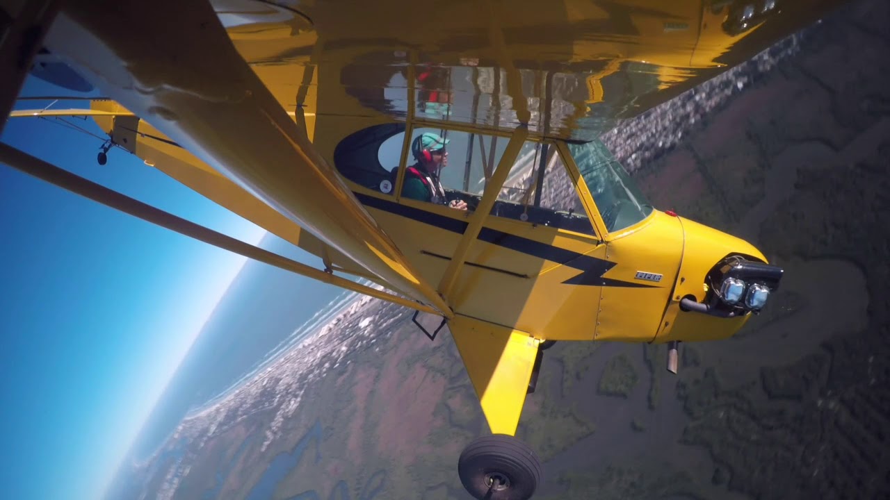 Clipped Wing Cub Flight