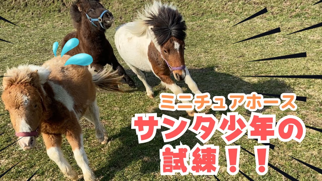 初めての男子エリアは厳しさの中にも優しさがあった！！