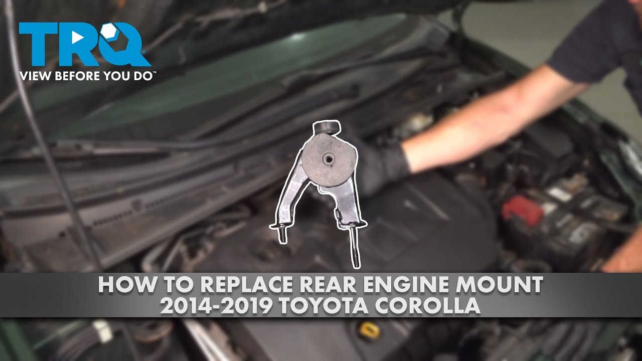 How to Replace Rear Engine Mount 2014-2019 Toyota Corolla