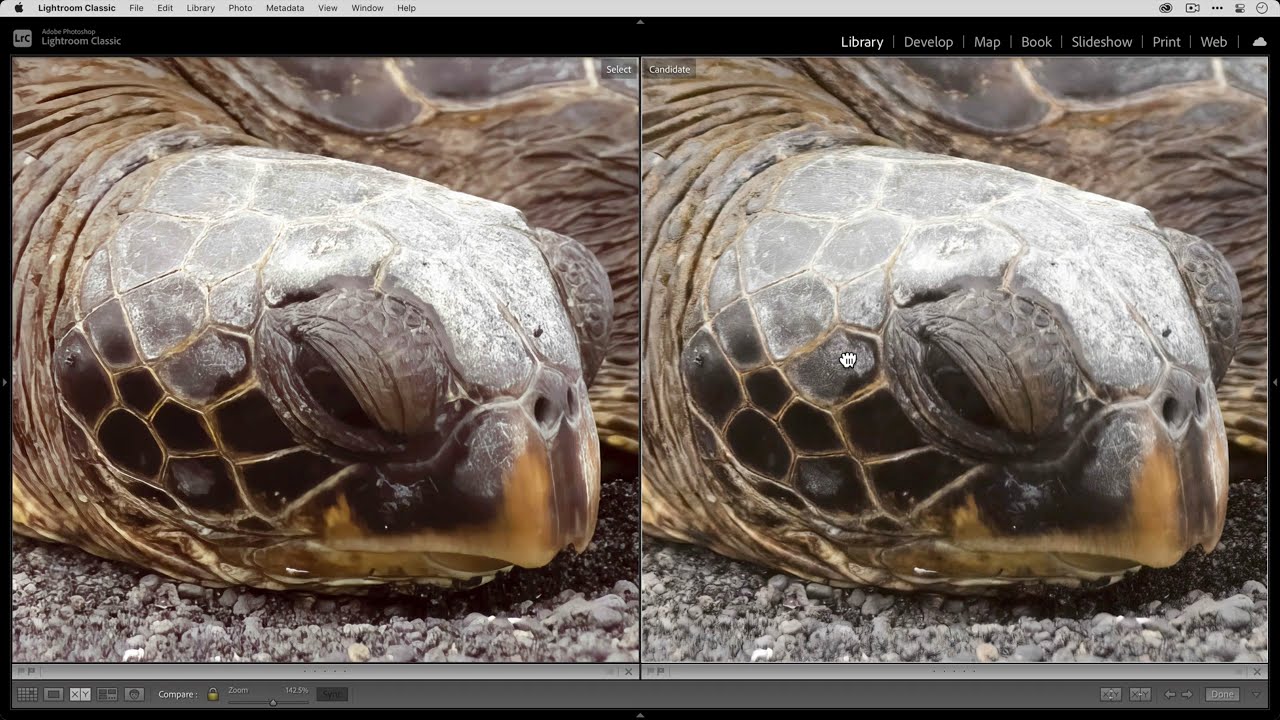 When to use the DeNoise AI RAW model