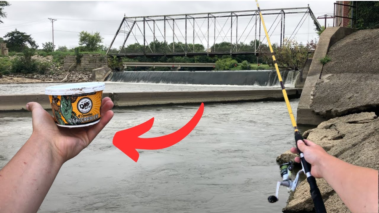 Fishing with Live worms for Whatever Bites! (Iowa fishing)