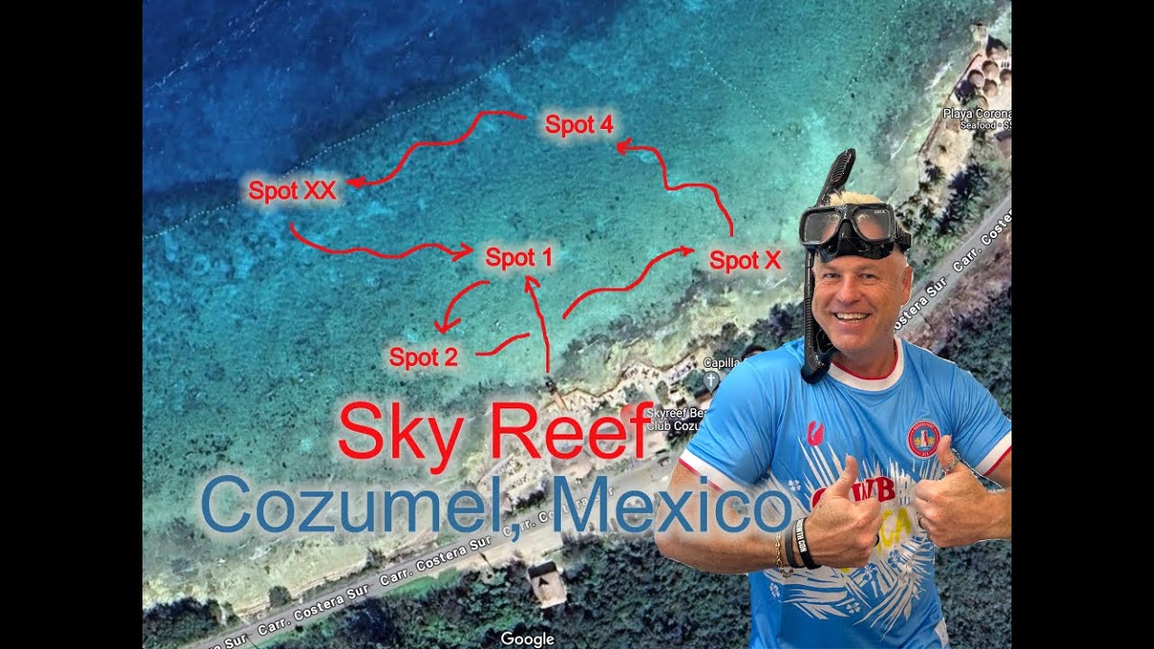 Cruise Port Snorkeling - Sky Reef Cozumel