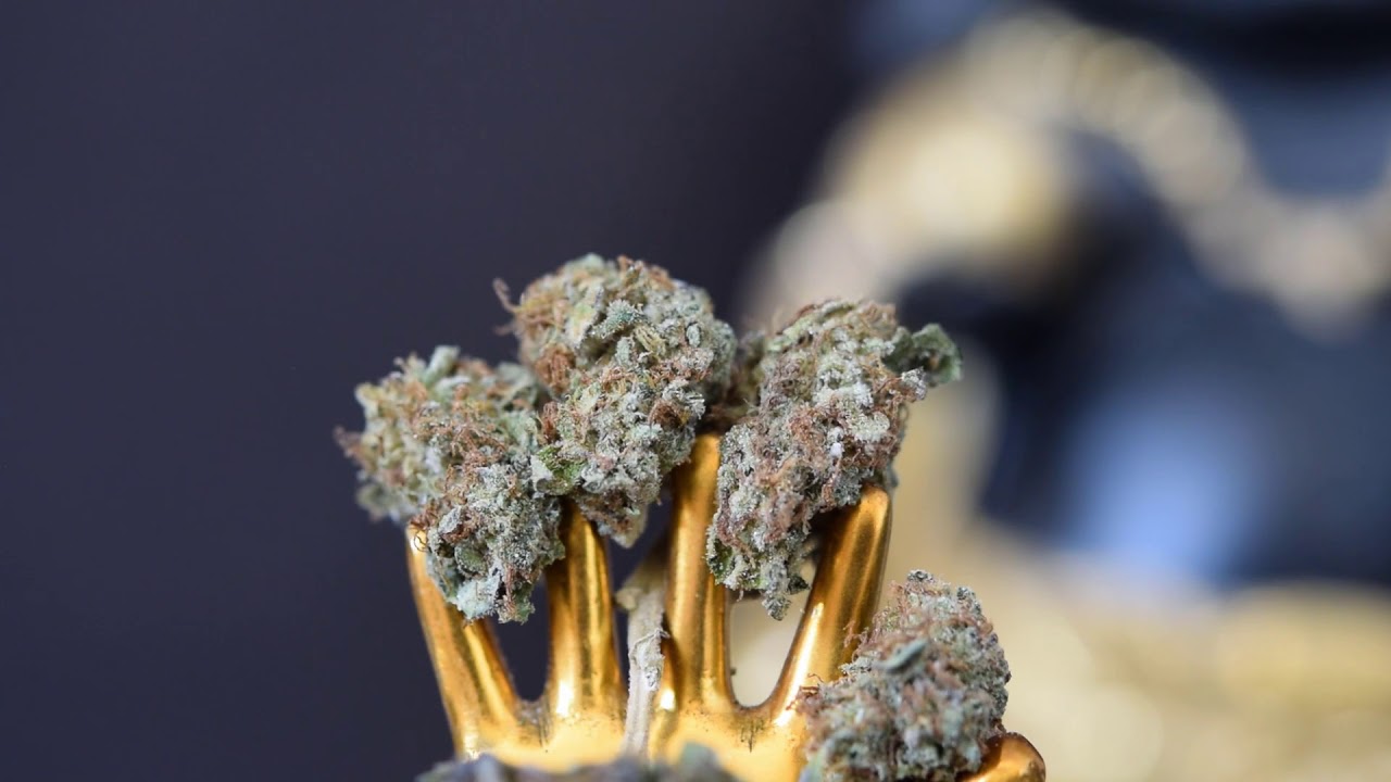Artisan Batch BC Haze strain Circa 04