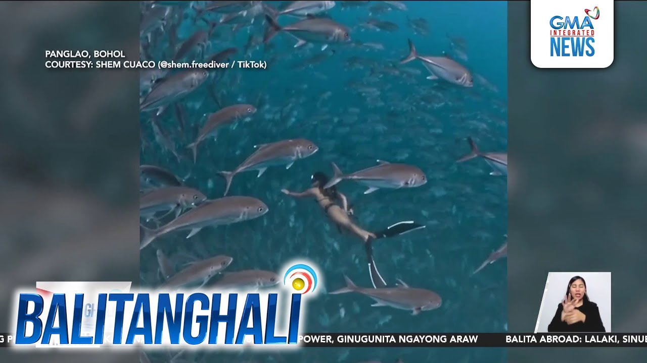 "Under-wow-ter" view sa Balicasag Island, nakunan ng isang diver-videographer | Balitanghali