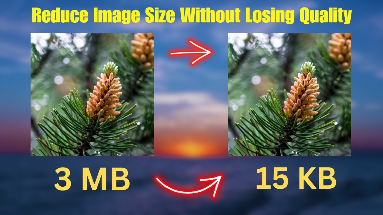How To Reduce Image Size Without Losing Quality