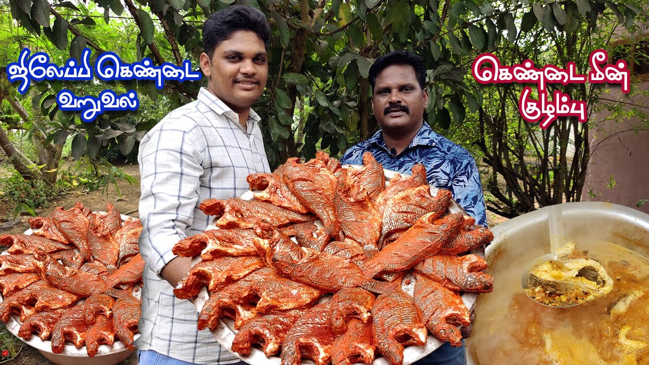 Fish Curry With Food For The Elderly 🧓 # முதியோர்களுக்கு மீன்குழம்பு மற்றும் மீன் வறுவல் #fishfry