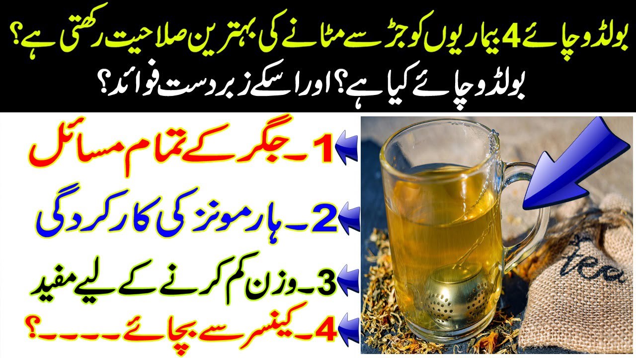 4 Benefits of Drinking Boldo Tea | Health Care Tips | Herbal Tea | Boldo Qahwa | Online Remedies