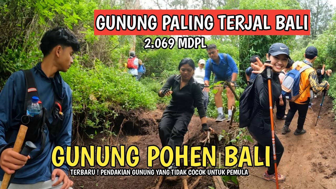 PENDAKIAN GUNUNG POHEN BEDUGUL BALI ! GUNUNG PALING TERJAL BALI