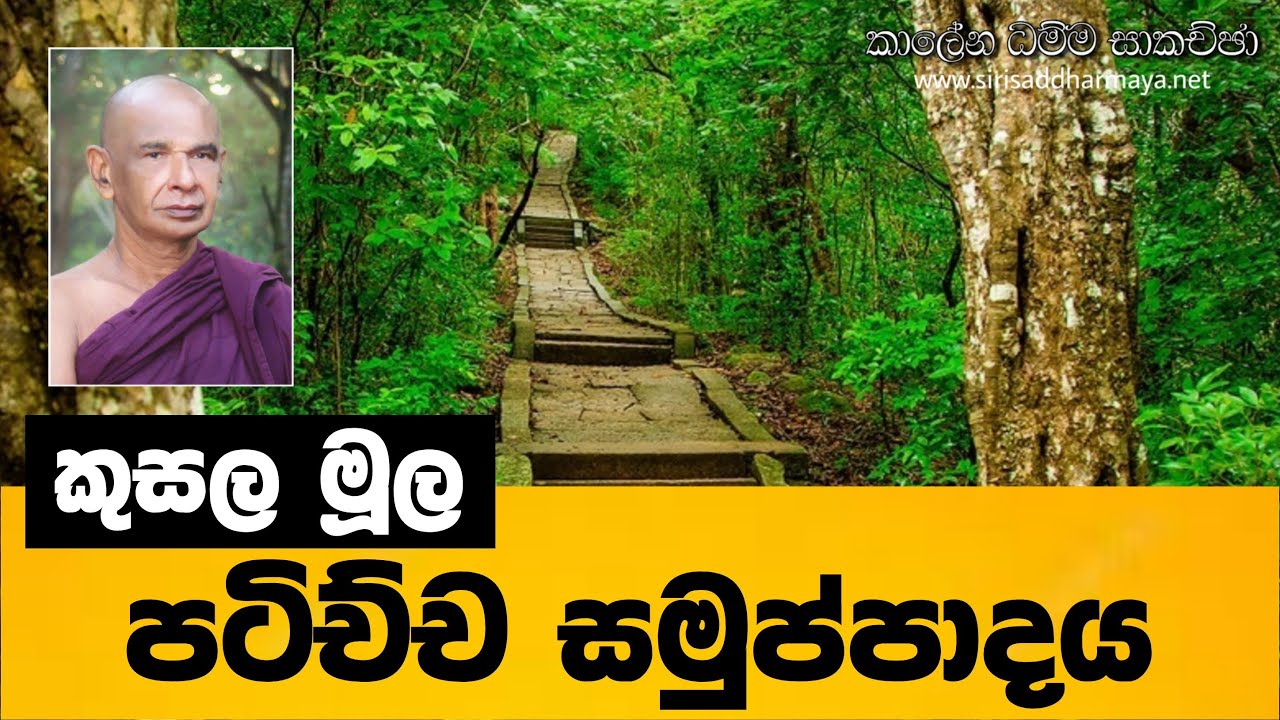 32.  කුසල මූල පටිච්ච් සමුප්පාදය​. | කාලේන ධම්ම සාකච්ඡා| Sadaham Teek