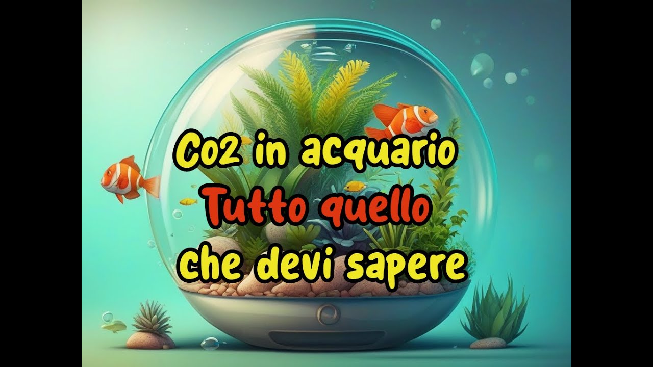 Co2 in acquario - Tutto quello che devi sapere