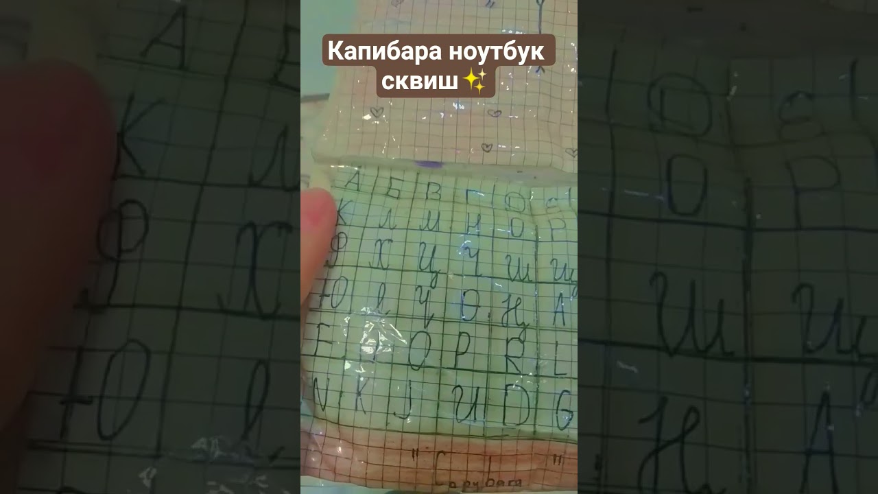 Капибара сквиш ноутбук 