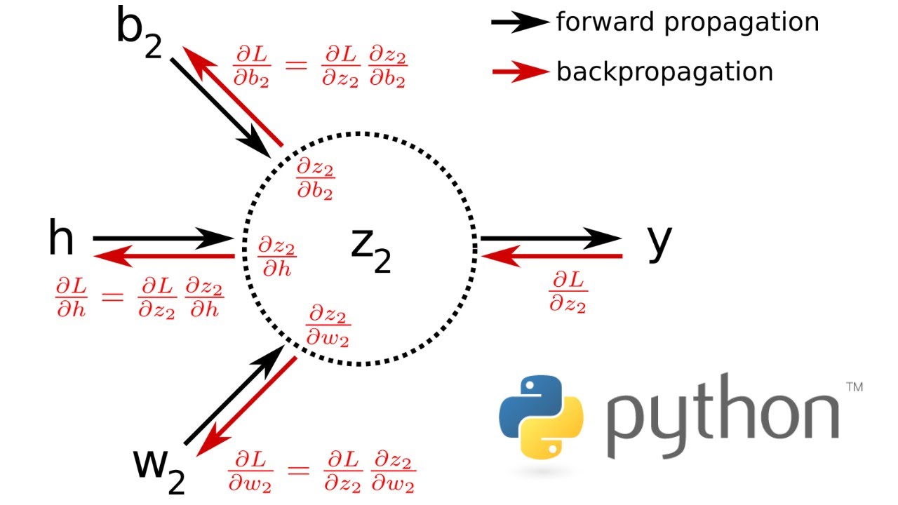 Backpropagation from Scratch in Python