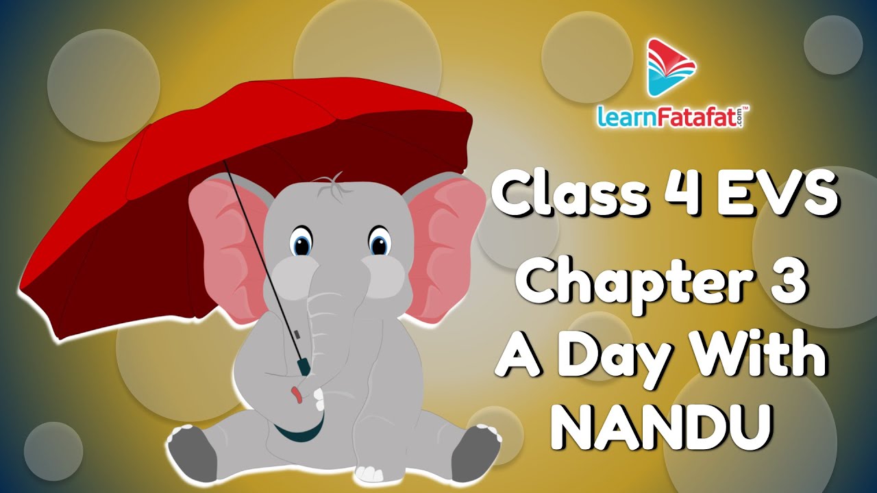 A Day With Nandu EVS Class 4 Chapter 3 - LearnFatafat