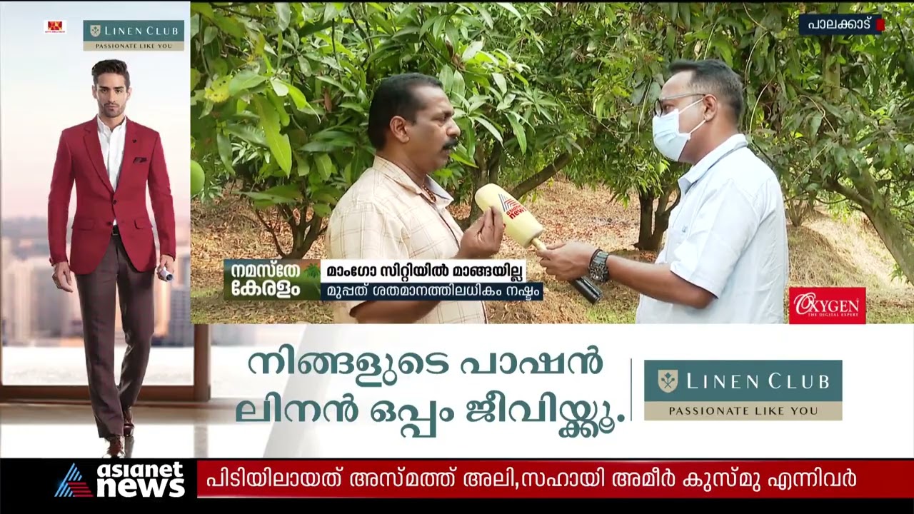 കേരളത്തിന്റെ മാംഗോ സിറ്റിയില്‍ മാങ്ങ കിട്ടാനില്ല | Mango City
