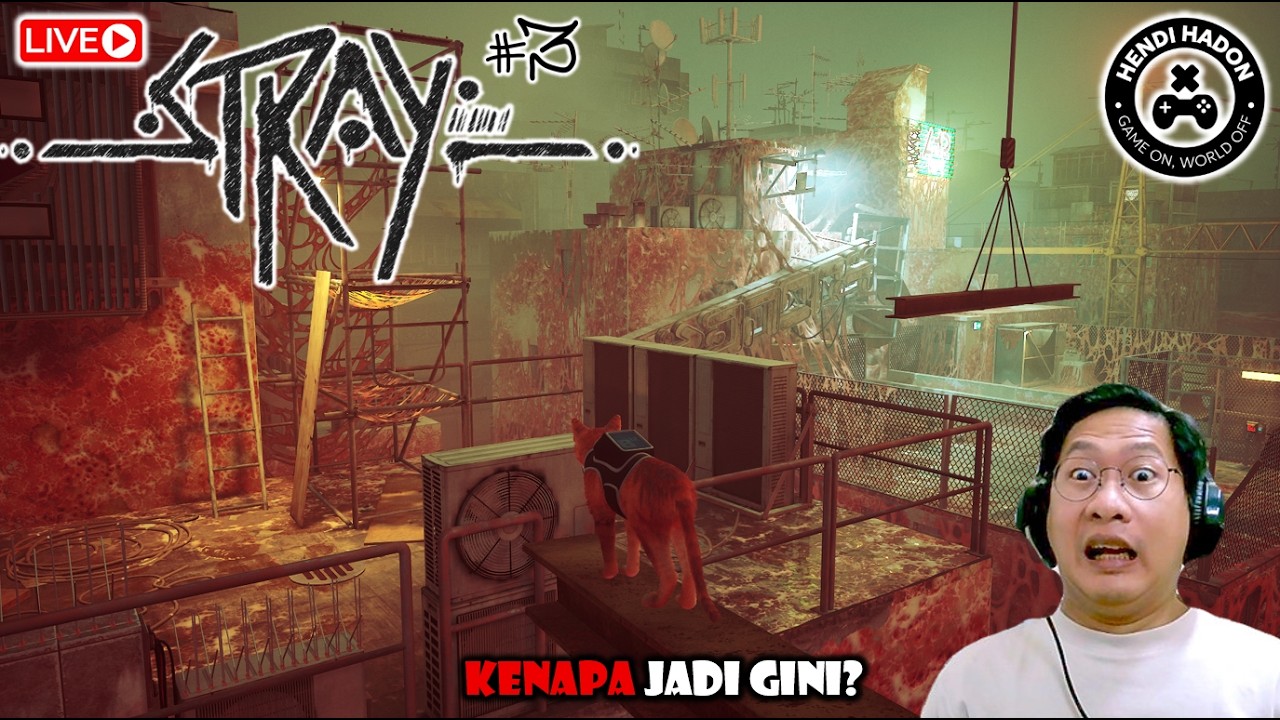 DULUNYA INI KOTA MANUSIA, DAN SEKARANG? LAAAHHH??? STRAY #3