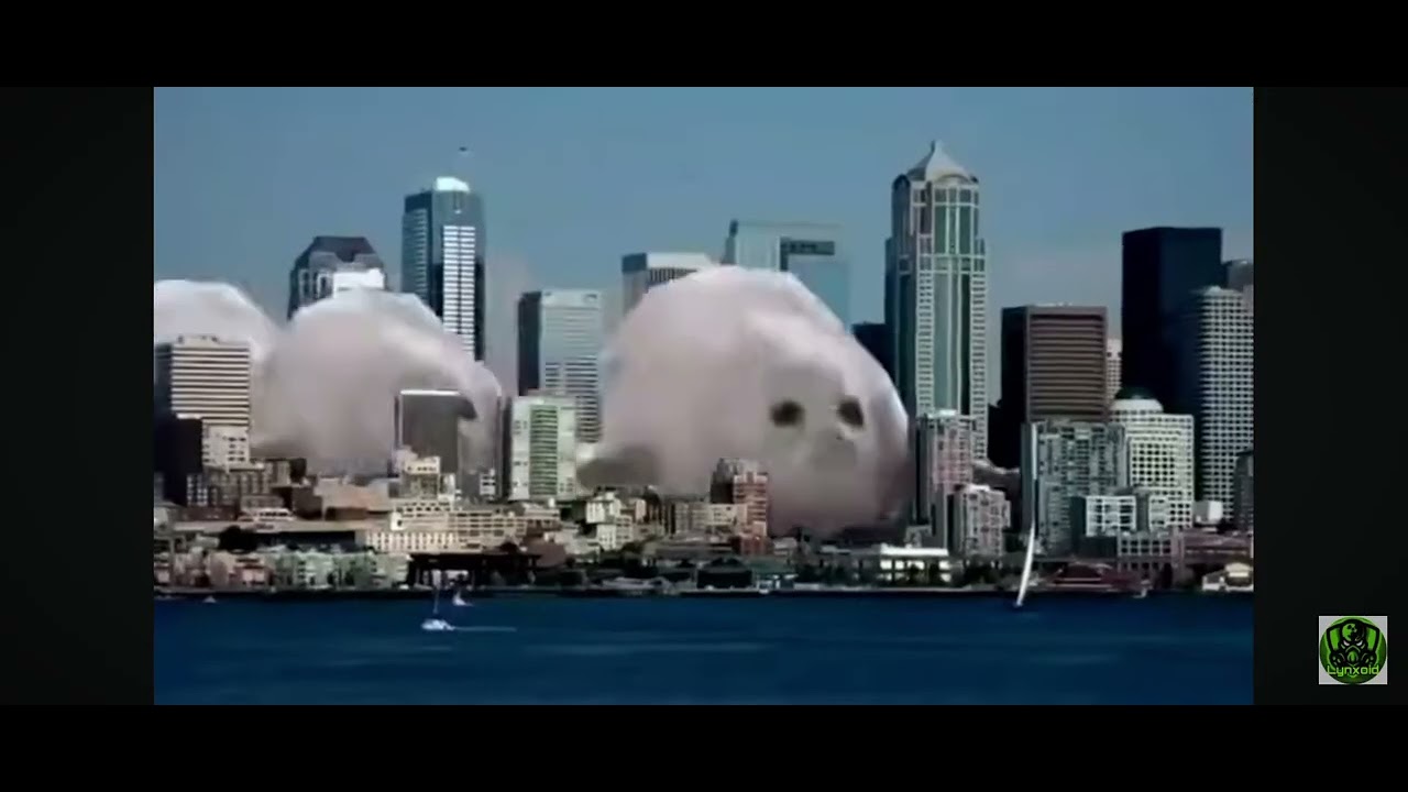 Bouncing Seal(10 MINUTES)