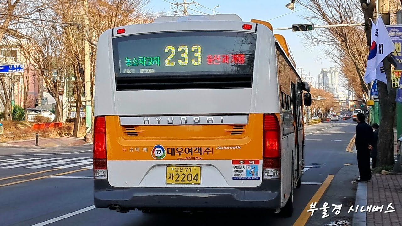 [울산 | 일반 | 신차]대우여객 233번 [천상1교사거리 ~ 구영교]구간 주행영상