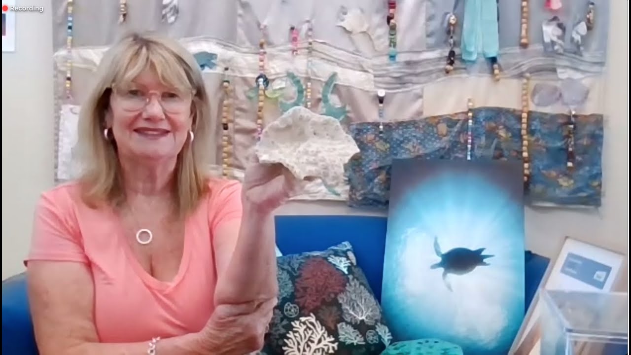 SeaWeek - Little Find, Big Ideas