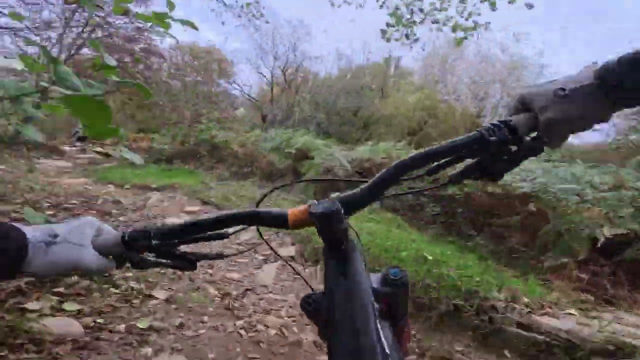 Bike Park Wales mash up by crimes against biking squad