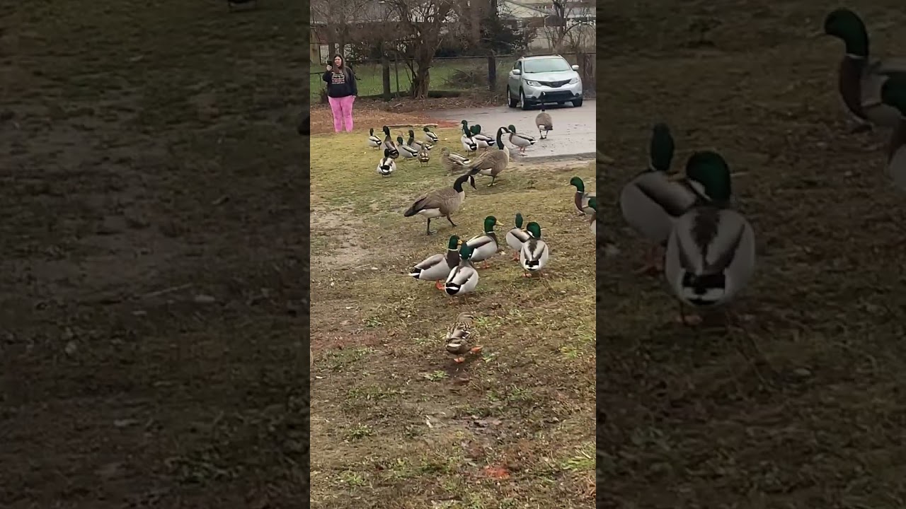 GET OUT & GET MOVING/ MORNING AFTER CHRISTMAS 