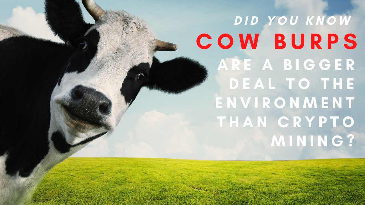 Cow Burps Are A Bigger Problem Than Crypto Mining