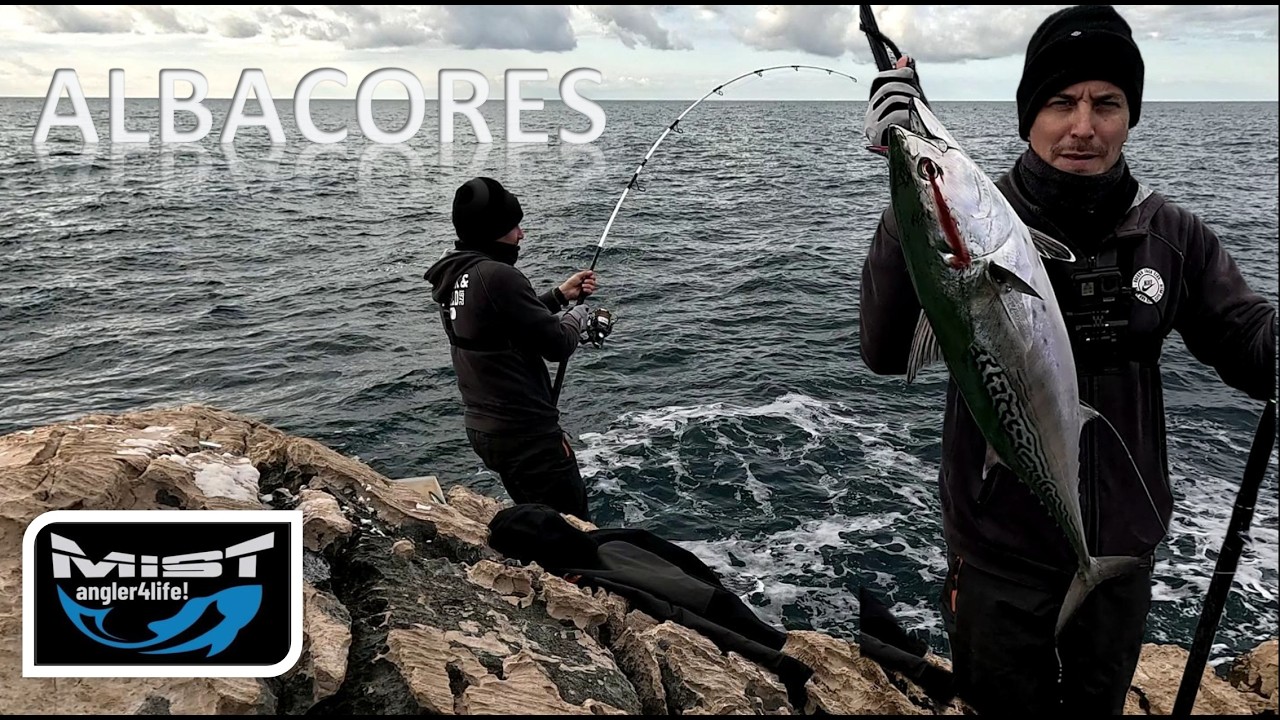 ALBACORE FISHING - SHORE SPINNING AND JIGGING
