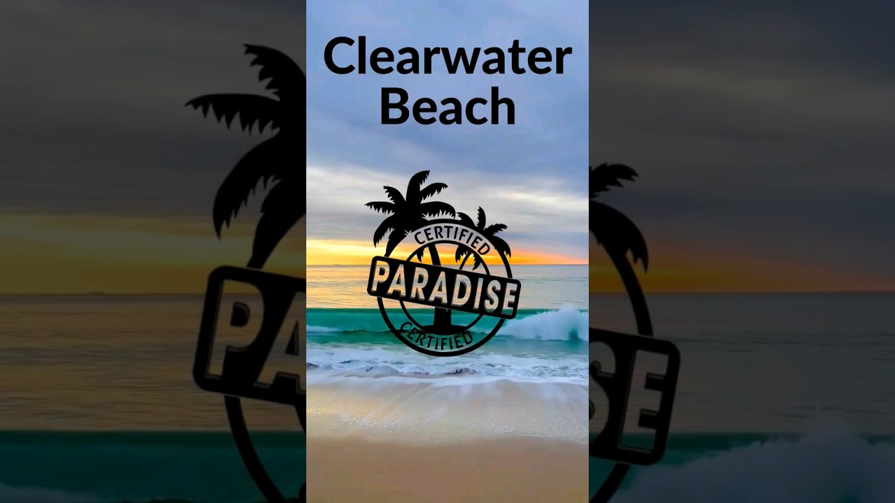 #clearwaterbeach #familyfun #florida #floridabeach #paradise #visitflorida