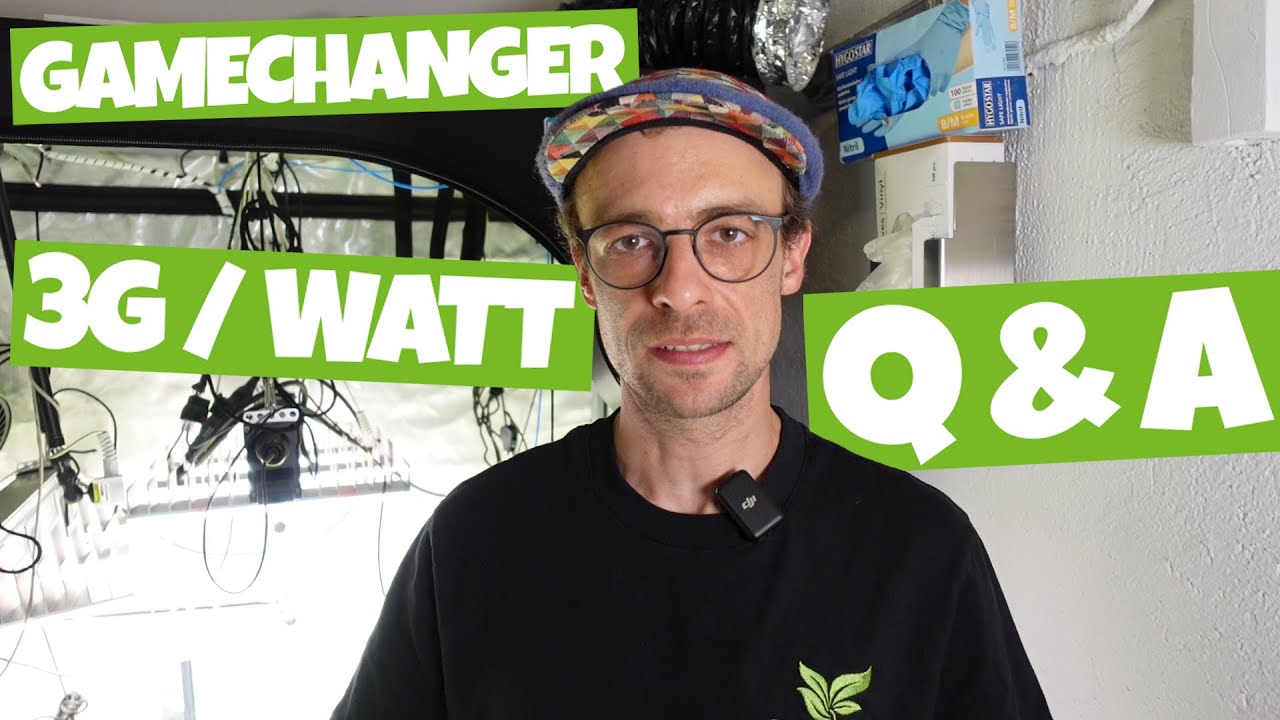 Three grams per watt impossible? | No exhaust air? | Your questions about our GROW EXPERIMENT! Pa...