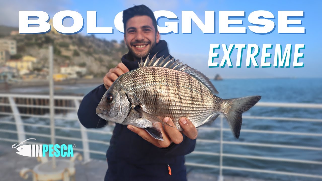 Come pescare SARAGHI BIG a BOLOGNESE EXTREME & CANNA FISSA al tocco nella mareggiata dalla scogliera