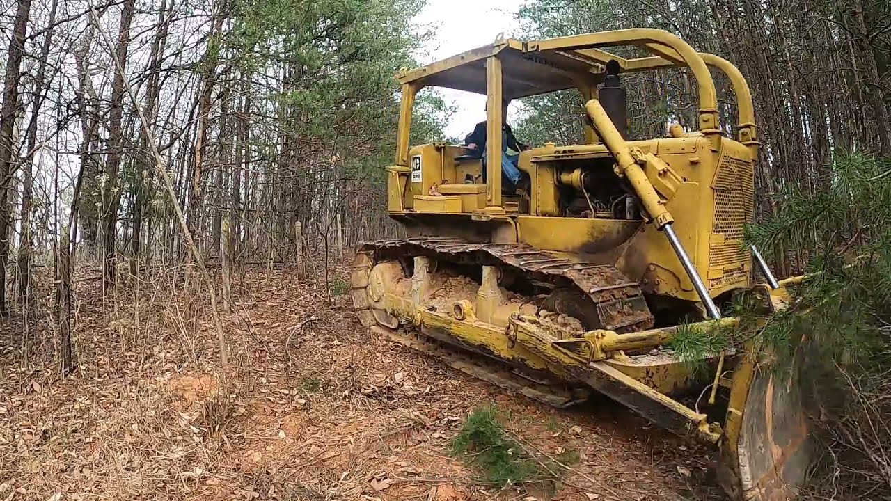pushing pines and brush part 1