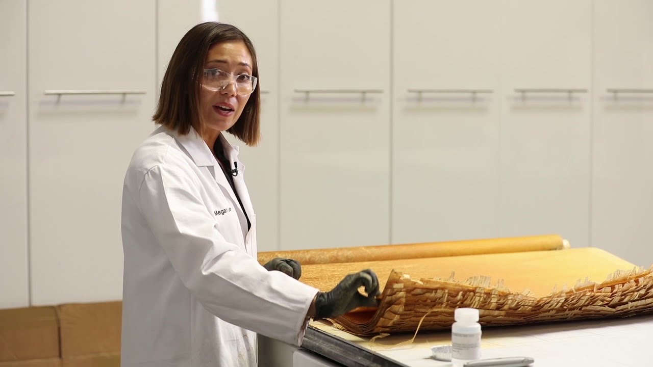 Avista Membrane Autopsy with CEI