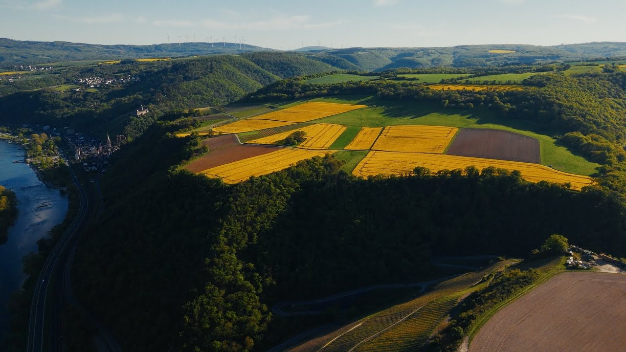 ☀️Spring in Germany  🇩🇪  | Rapeseed fields at the Rhine Gorge | 🛩️ Mini 4 Pro cinematic drone 4K