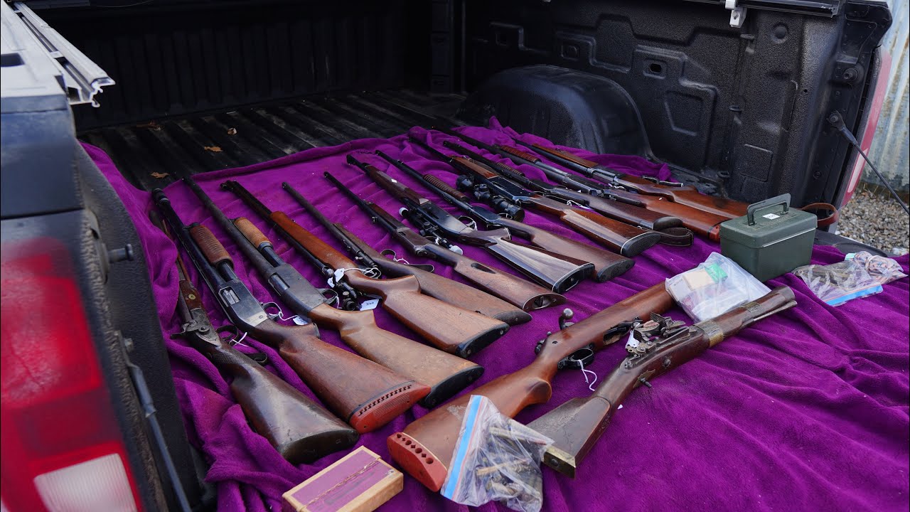 I bought $5,000 worth of Guns