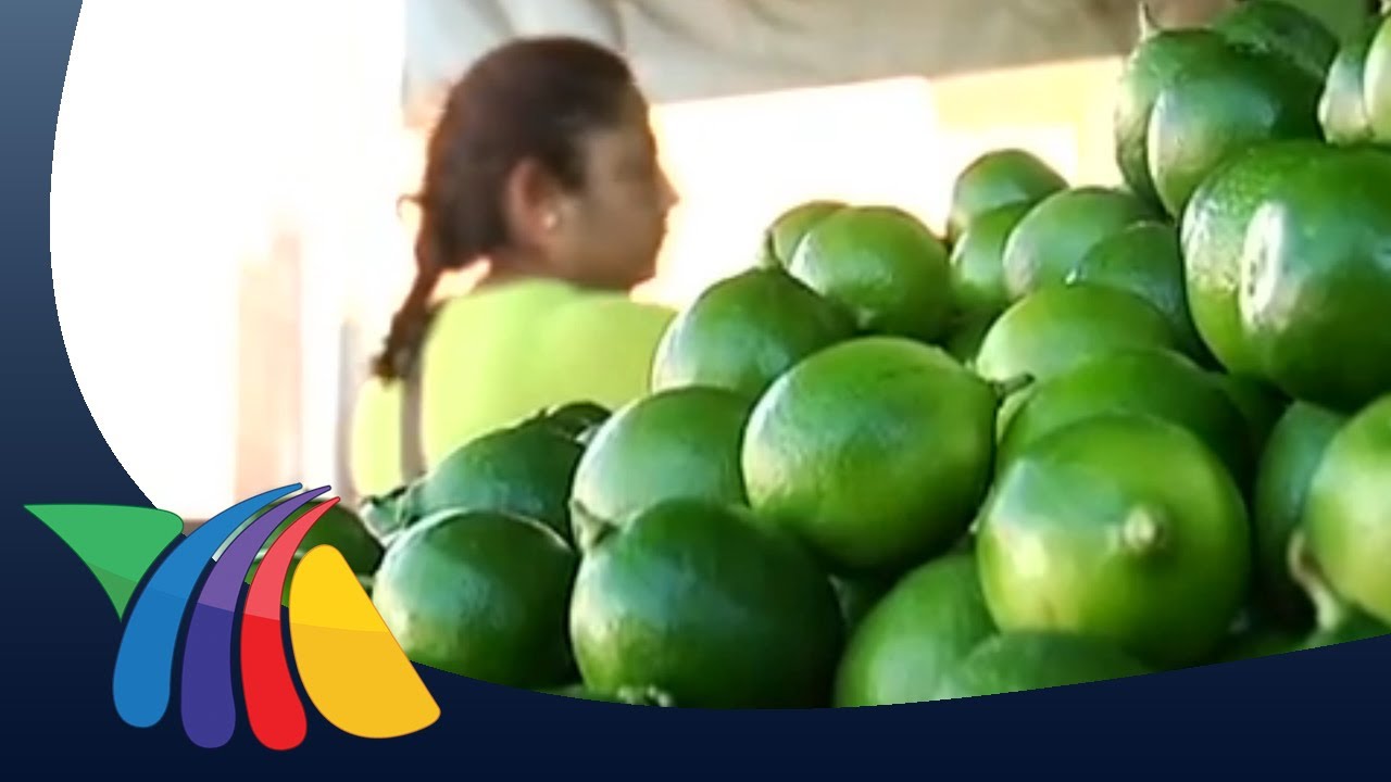 Productores preocupados por precio del lim&oacute;n