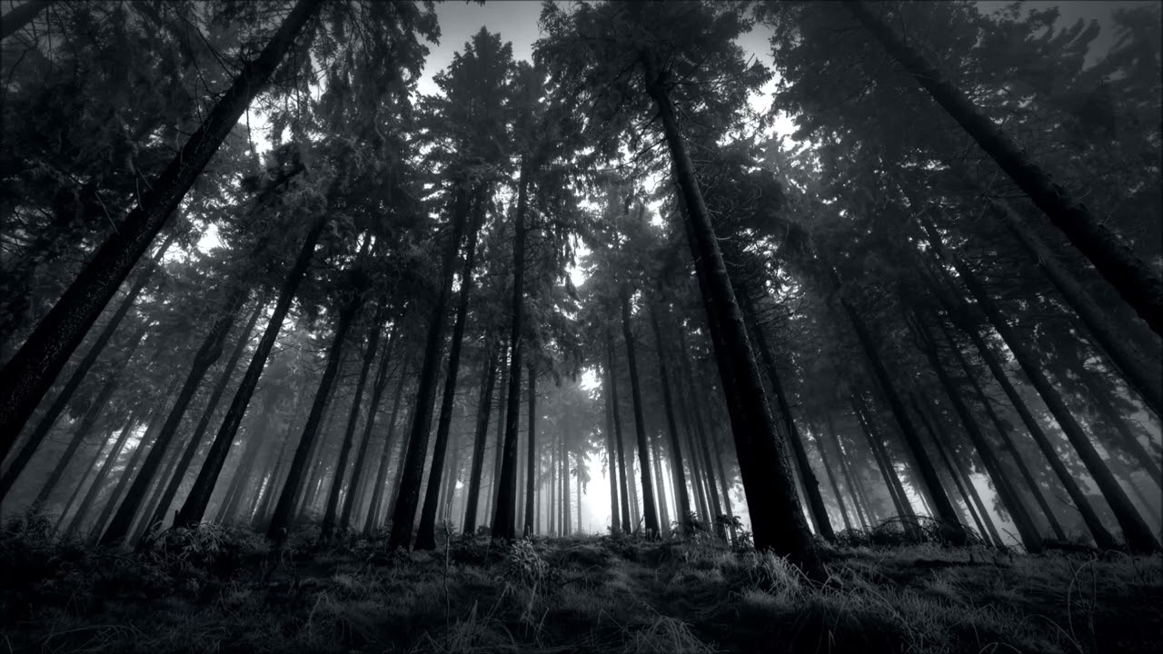 Melodic Death Metal Instrumental (part 2)