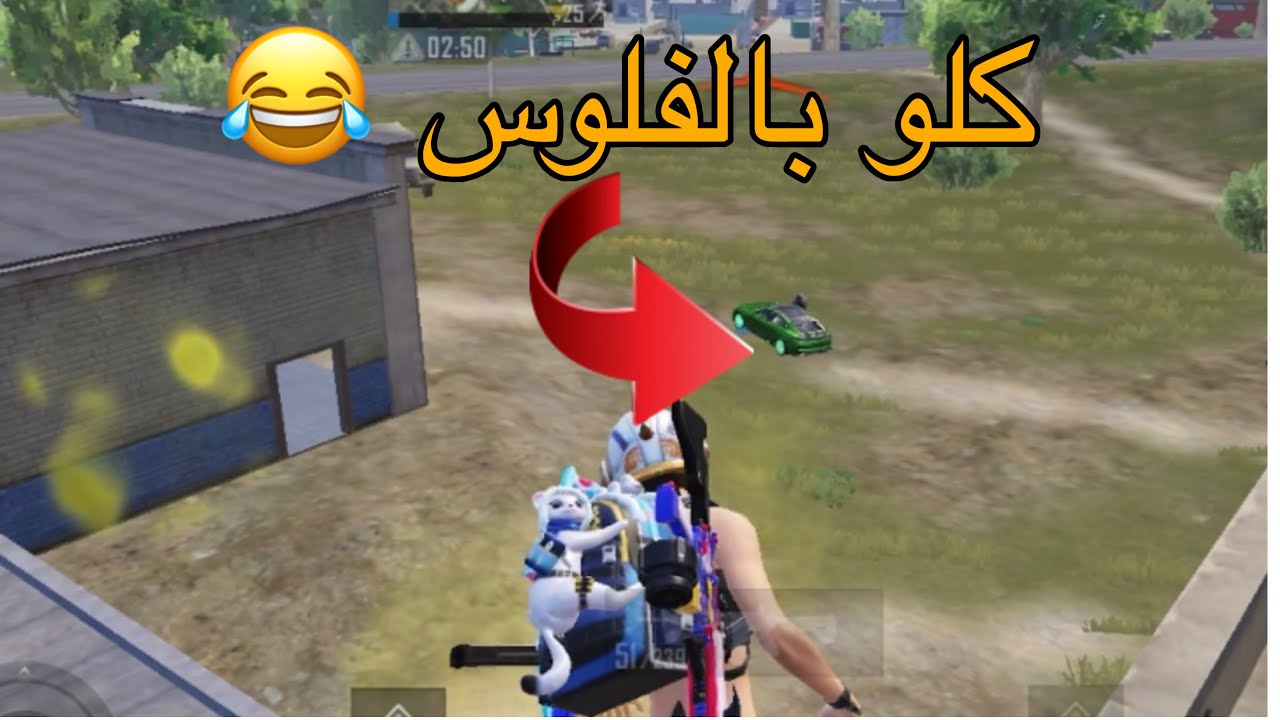 كلو بالفرس 😂