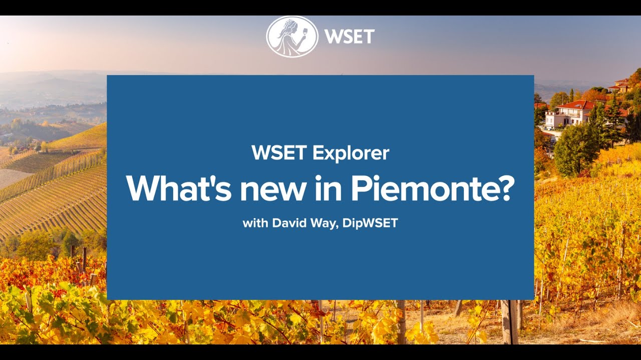 WSET Explorer - What's new in Piemonte?