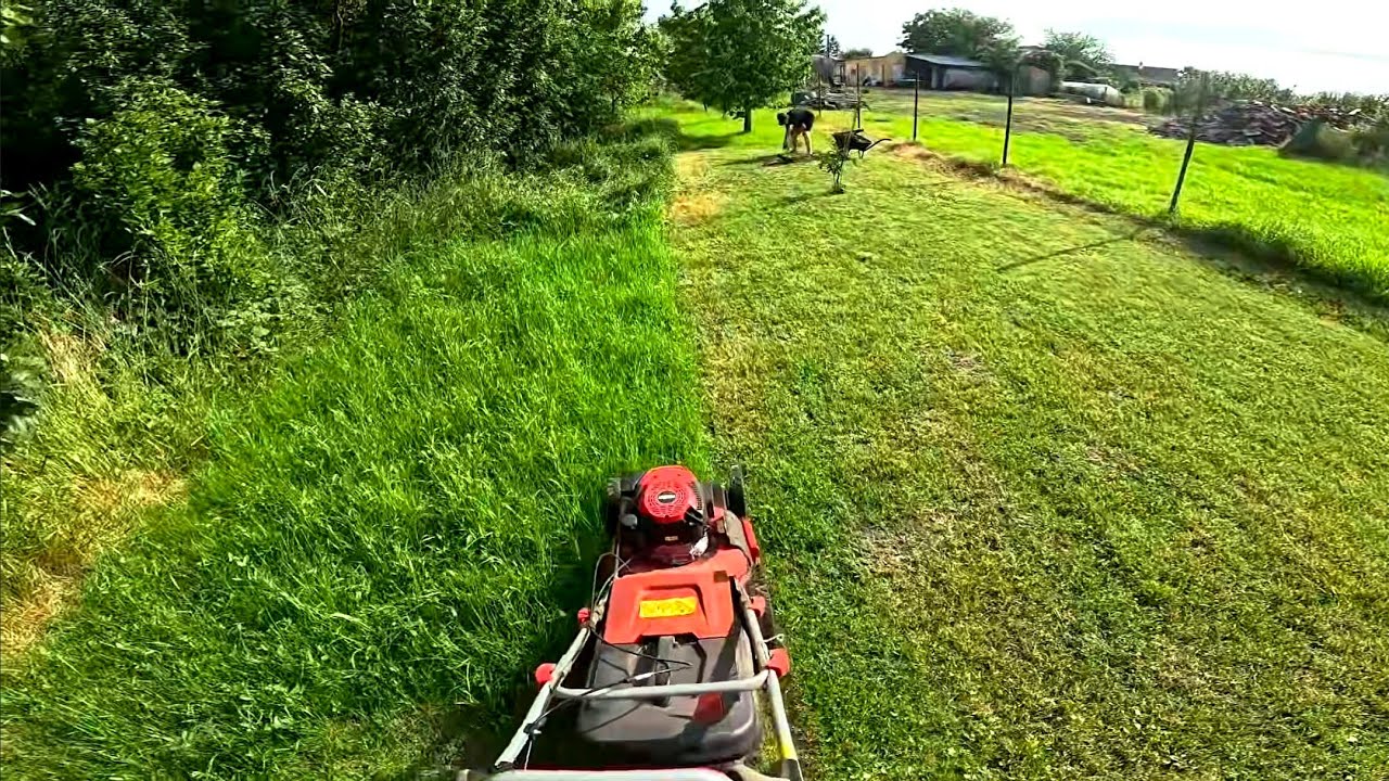 Relaxing Lawn Mowing With My Brother | Satisfying Grass Cutting ASMR