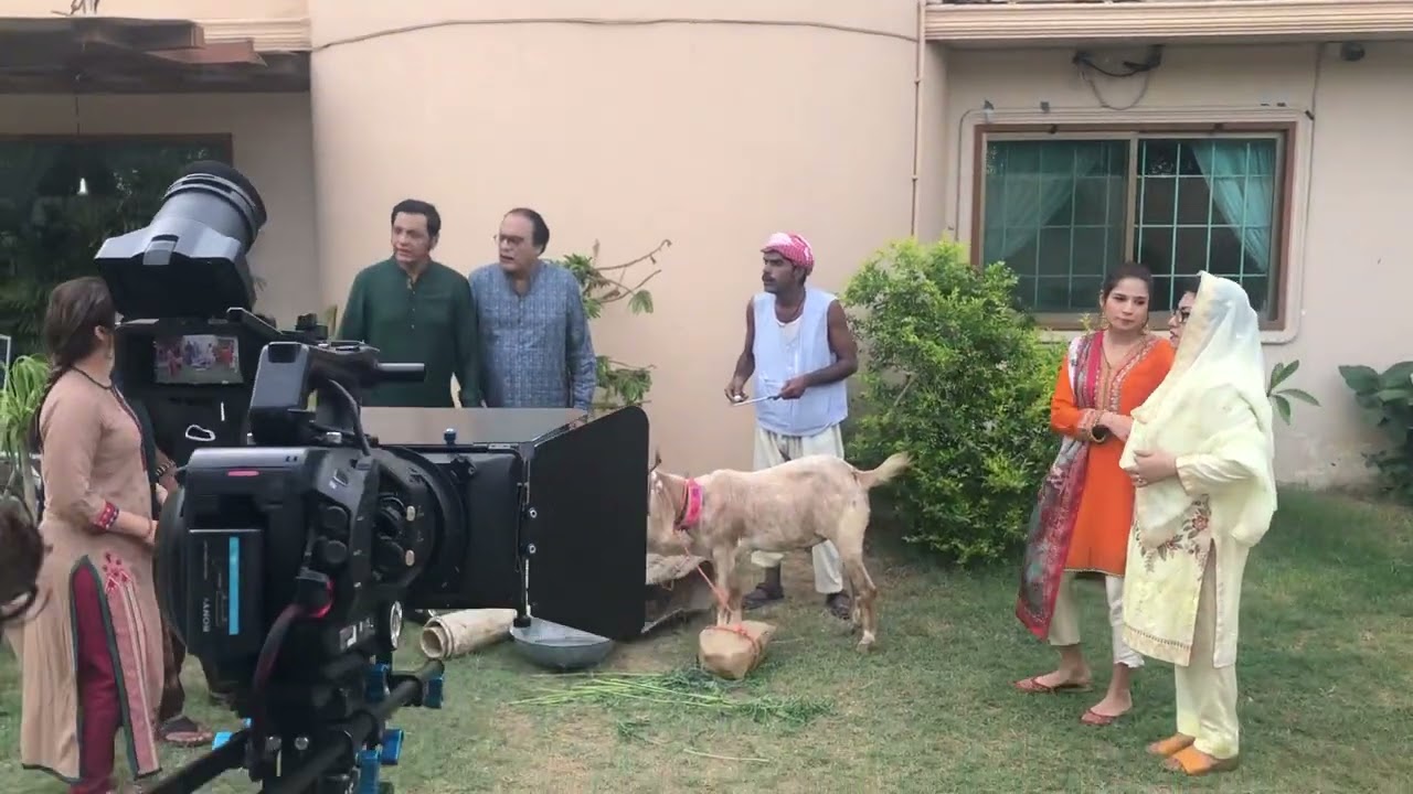 BEHIND THE SCENES BULBULAY